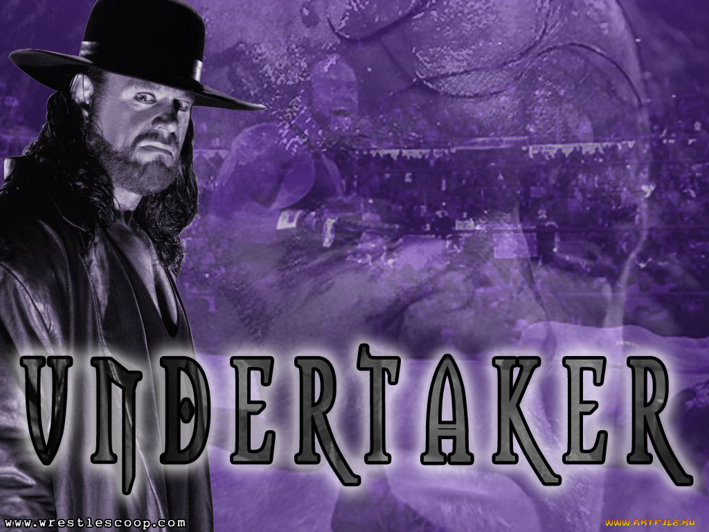 wwe, 